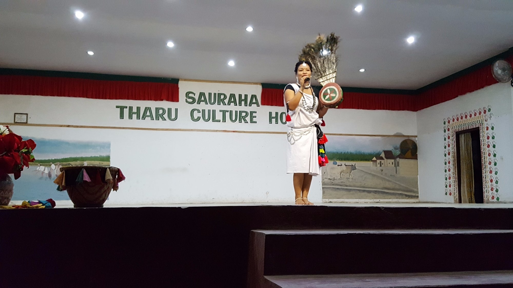 tharu-culture-dance